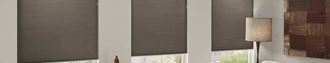 Honeycomb Blinds or Pleated Shades for Homes in San Antonio, New Braunfels and Boerne, Texas (TX)